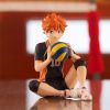 Noodle Stopper Shoyo Hinata (Haikyu!!) Image