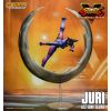 Juri Han Action Figure (Street Fighter V Champion Edition) Additional Thumbnail 7