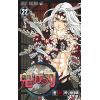 Demon Slayer Vol. 22 (Japanese Version) Image