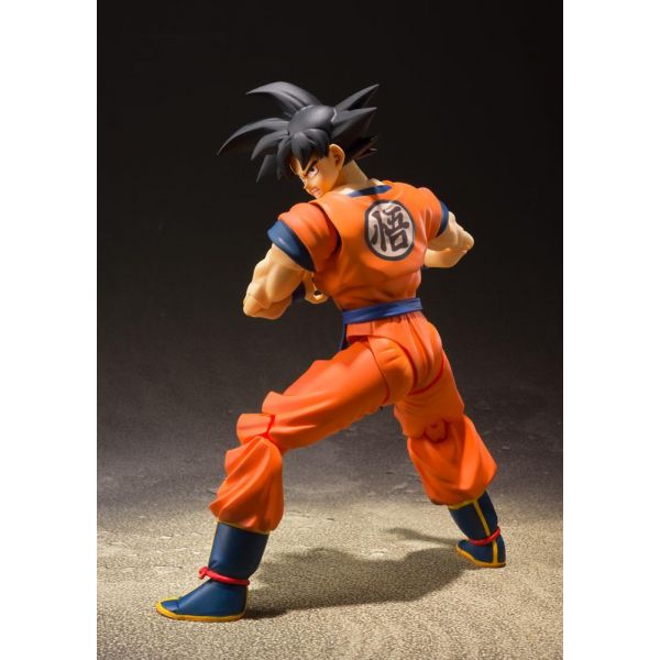 S.H. Figuarts Son Goku -A Saiyan Raised On Earth Ver.- (Dragon Ball Z) Image