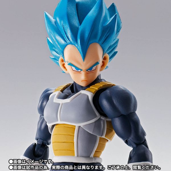 S.H. Figuarts Vegeta Super Saiyan Blue (15th Anniversary Version) (Dragon Ball Super) Image