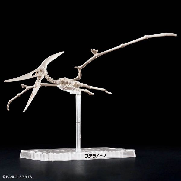 Plannosaurus Pteranodon Image