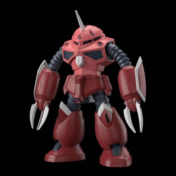 HG Z'Gok (Mobile Suit Gundam SEED FREEDOM Ver.) Image