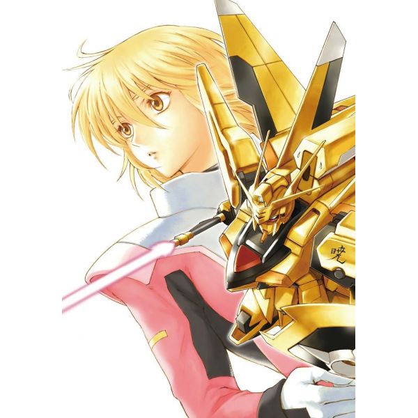 New Edition Mobile Suit Gundam SEED DESTINY THE EDGE Desire Vol. 01 (Japanese Version) Image