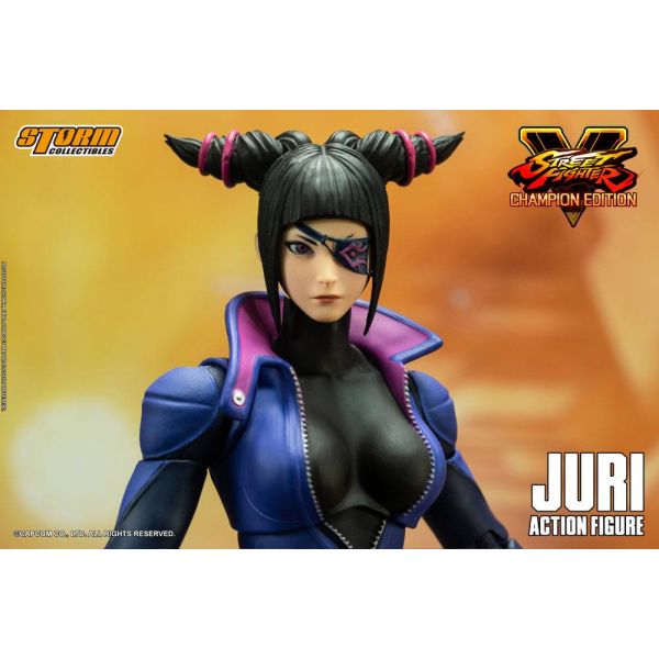 Juri Han Action Figure (Street Fighter V Champion Edition) Image