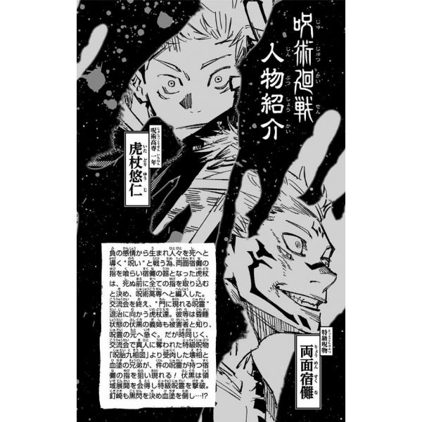 Jujutsu Kaisen Vol. 08 (Japanese Version) Image