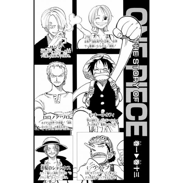 One Piece Vol. 13 (Japanese Version) Image